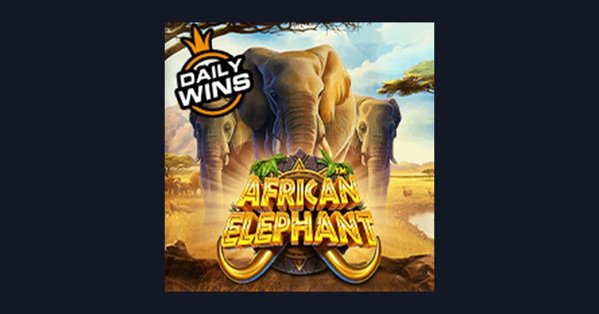 Raih Kemenangan Mudah di African Elephant dengan Tips Menang untuk Pemula