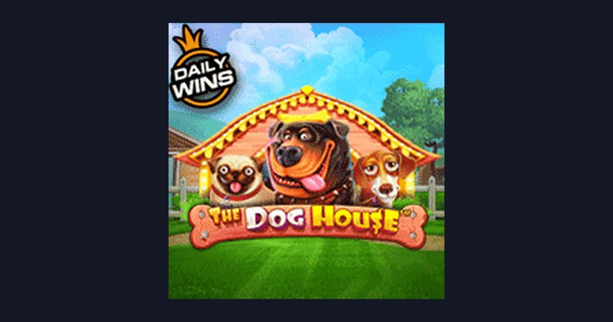 Panduan Lengkap The Dog House: Tips Menang Buat Pemula Slot Online